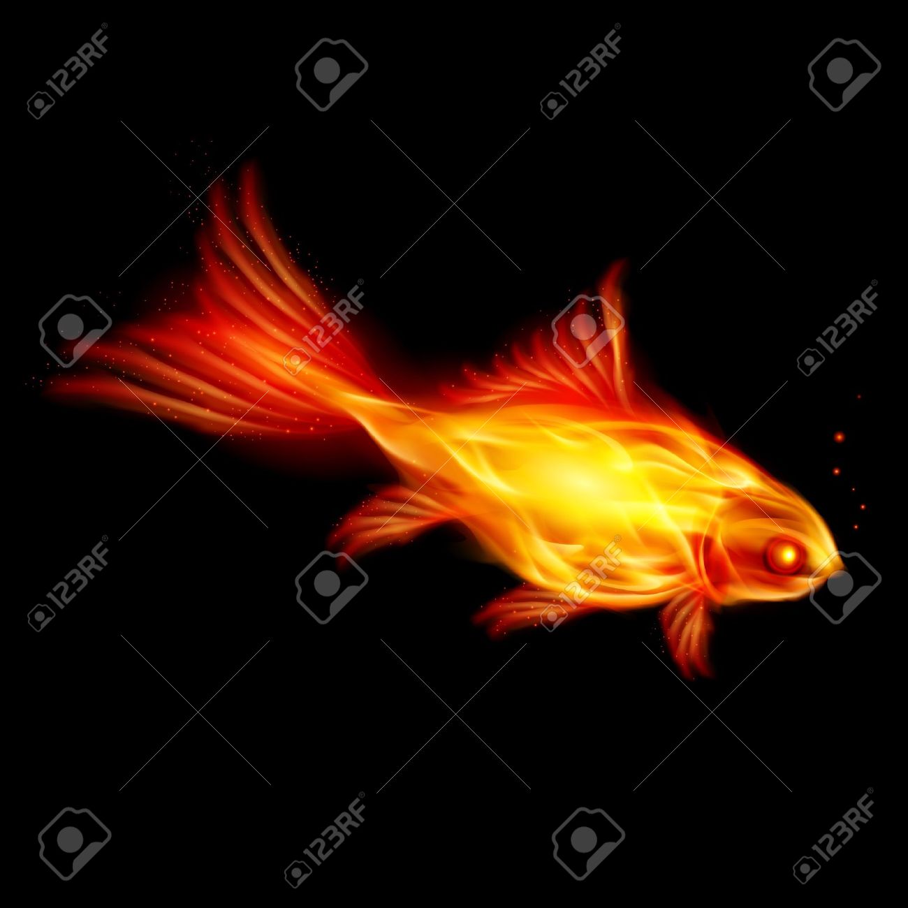 A Goldfish of the Flame